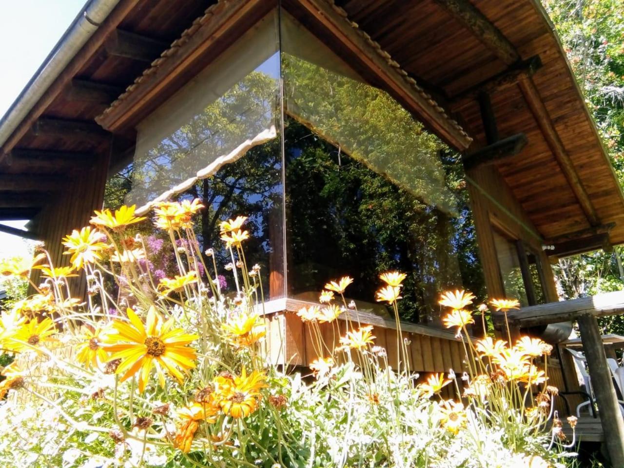 Cabanas El Cipres Pucón Exterior foto