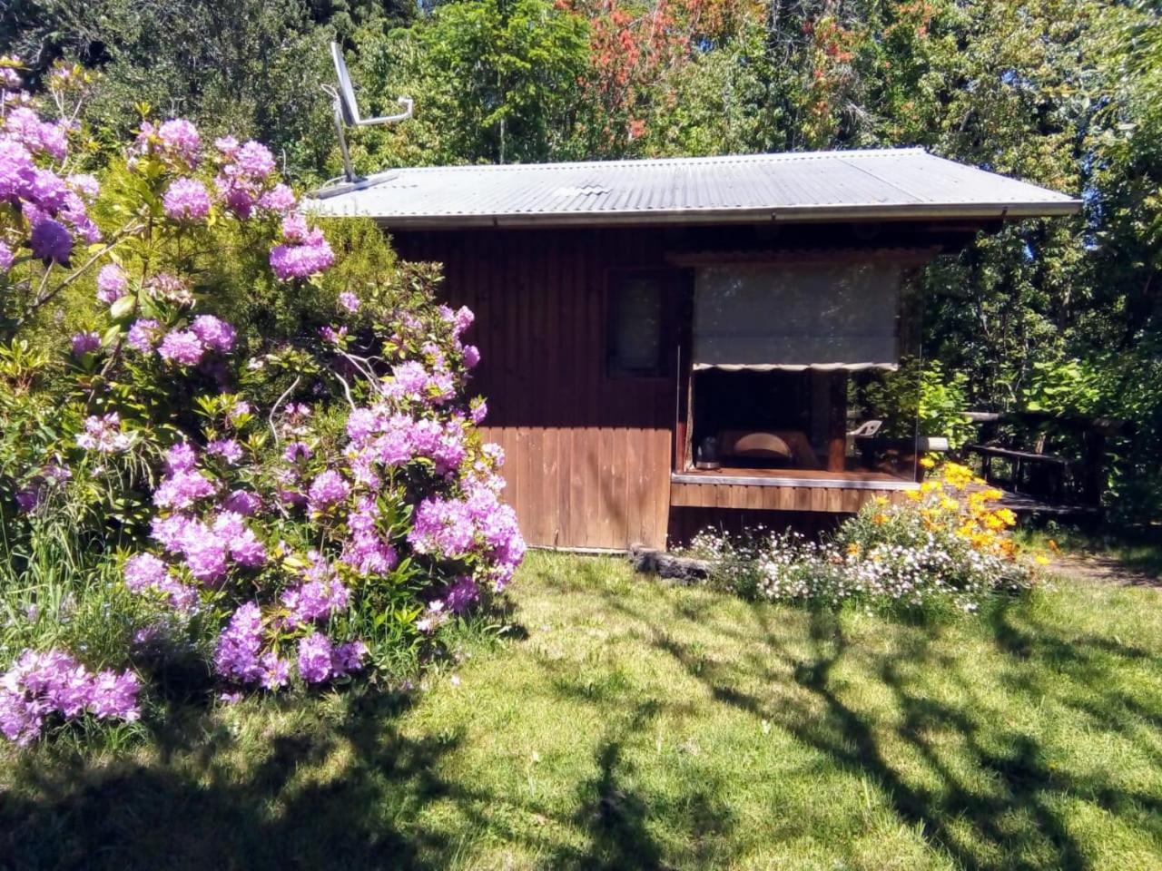 Cabanas El Cipres Pucón Exterior foto